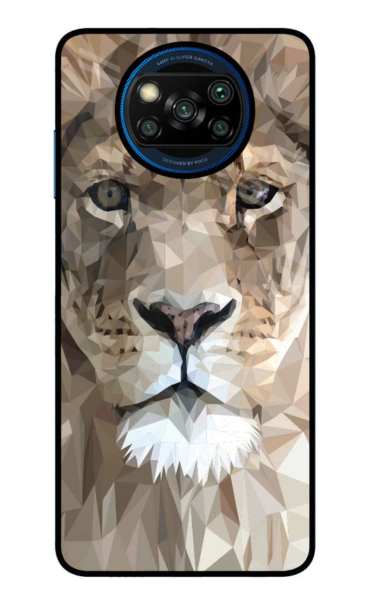 Lion Art Poco X3/X3 Pro Back cover