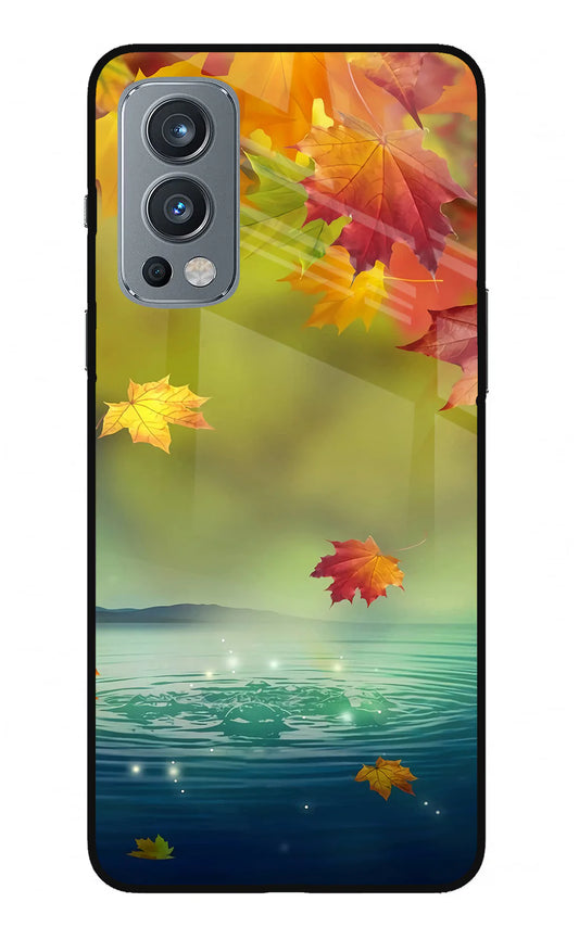 Flowers OnePlus Nord 2 5G Back cover
