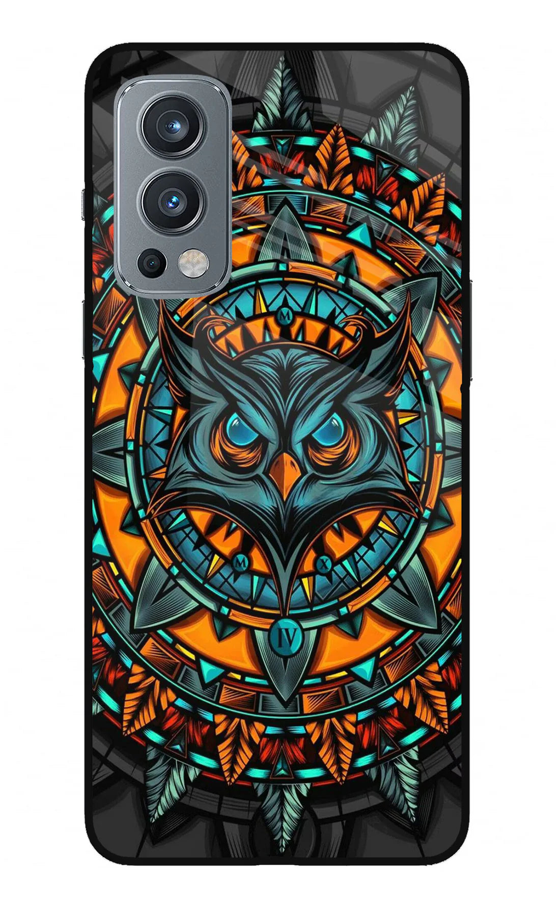Angry Owl Art OnePlus Nord 2 5G Back cover