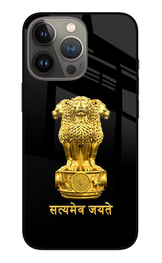 Satyamev Jayate Golden iPhone 13 Pro Back cover