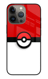 Pokemon iPhone 13 Pro Glass Case