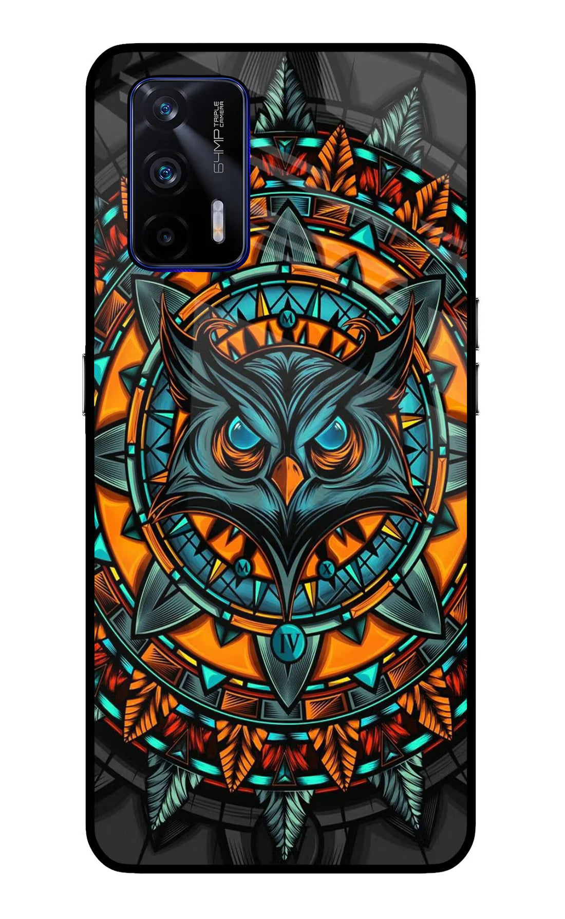 Angry Owl Art Realme GT 5G Back cover