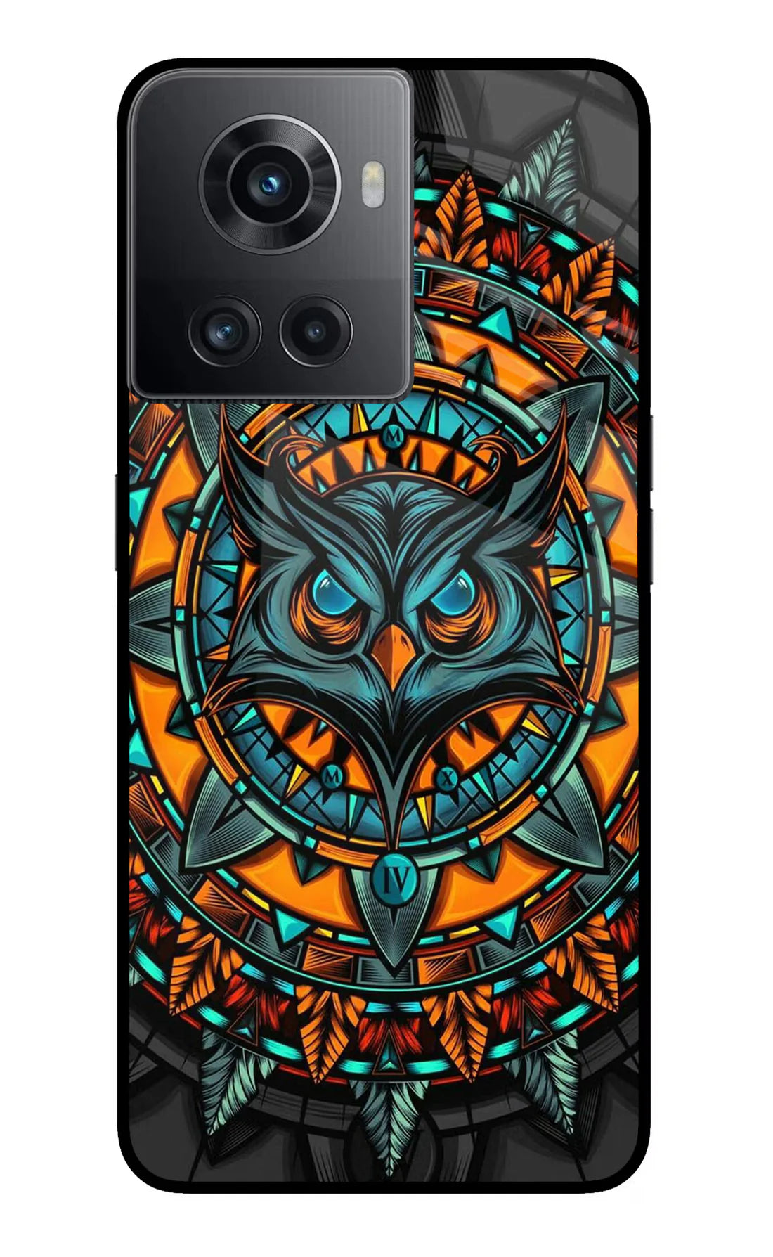 Angry Owl Art OnePlus 10R 5G Back cover