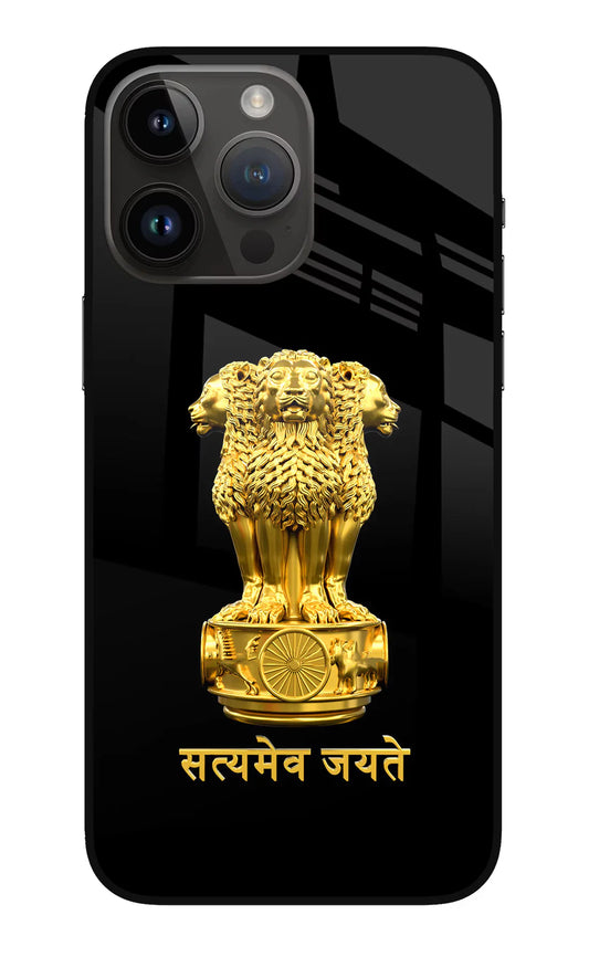 Satyamev Jayate Golden iPhone 14 Pro Max Back cover