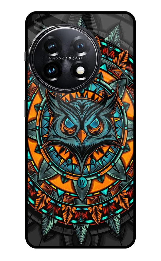 Angry Owl Art OnePlus 11 5G Back cover