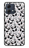 Cute Panda Moto G84 5G Glass Case