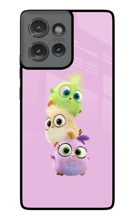 Cute Little Birds Moto Edge 50 Back Cover