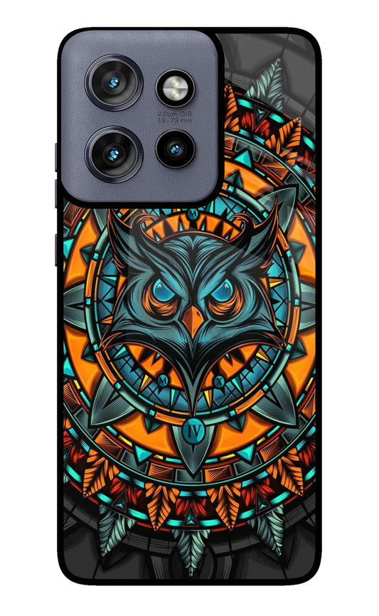 Angry Owl Art Moto Edge 50 Neo Back cover