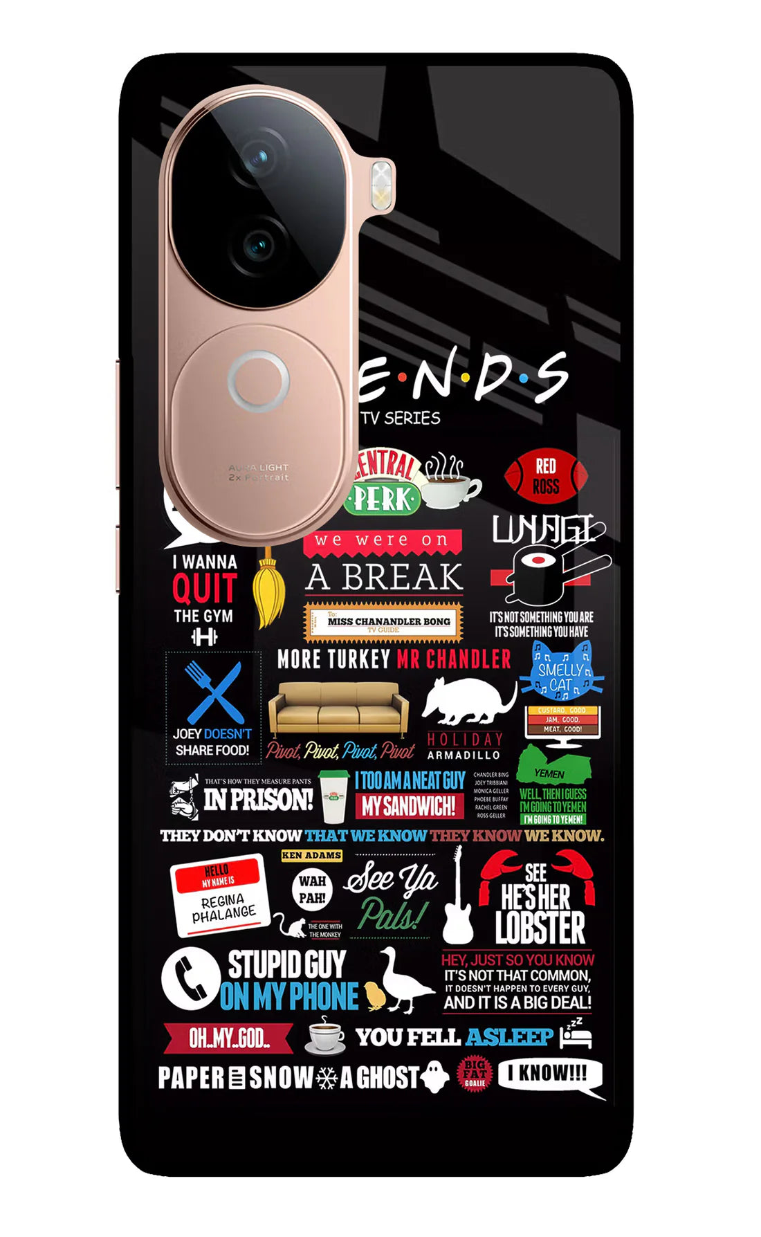 FRIENDS IQOO Z9s 5G Back cover
