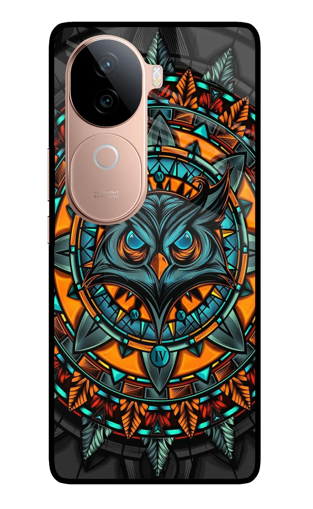Angry Owl Art IQOO Z9s 5G Back cover