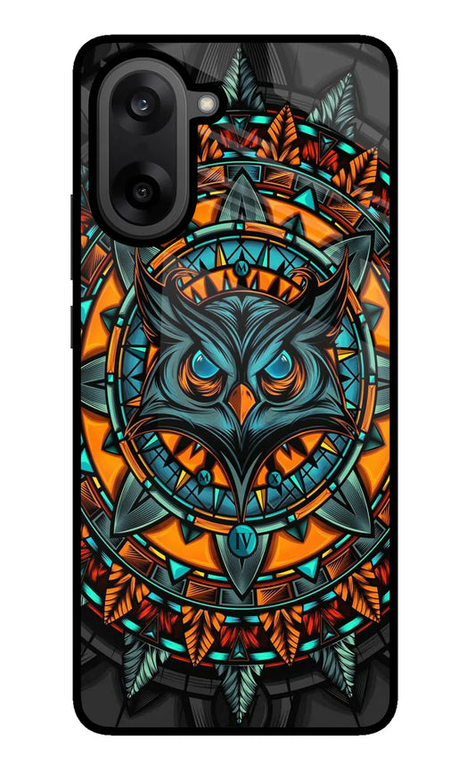 Angry Owl Art OnePlus Nord CE5 Back cover