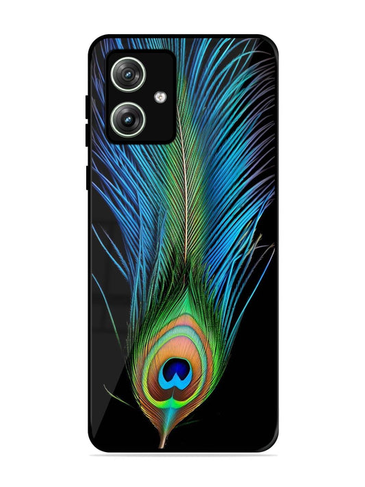 Peacock Feather Motorola G34 Back cover