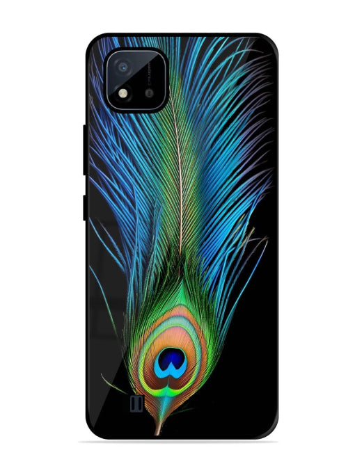 Peacock Feather Realme C20/C20A Back cover