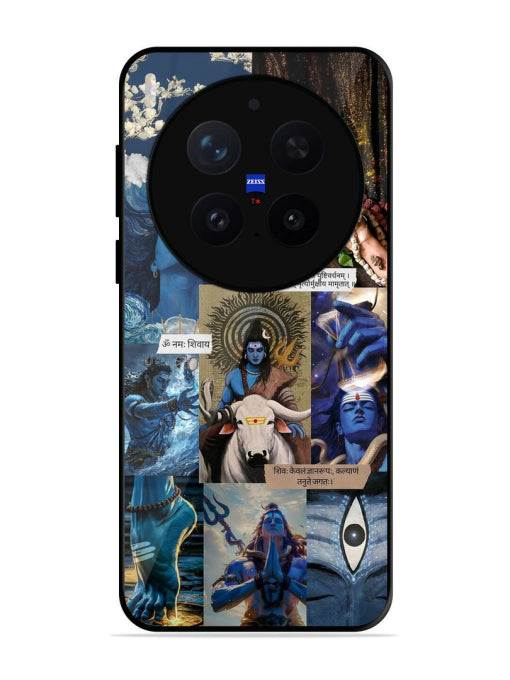Divine Shiva Manifestations Vivo X300 Pro 5G Back Cover